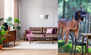 Visualisation du produit