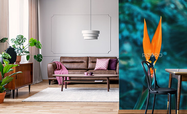 Visualisation du produit