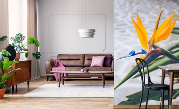 Visualisation du produit