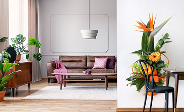 Visualisation du produit