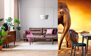 Visualisation du produit