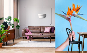 Visualisation du produit