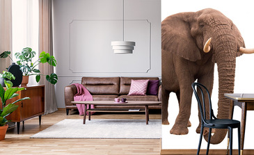 Visualisation du produit