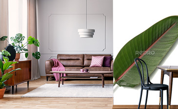 Visualisation du produit