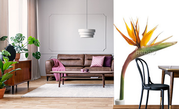 Visualisation du produit