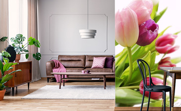 Visualisation du produit