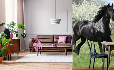 Visualisation du produit