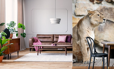 Visualisation du produit