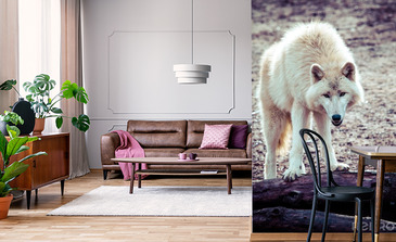 Visualisation du produit