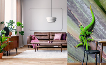 Visualisation du produit