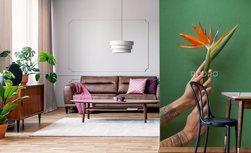 Visualisation du produit