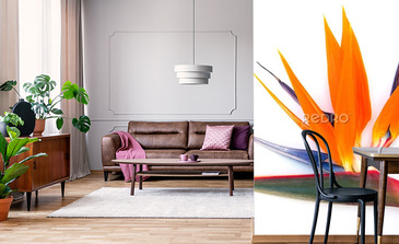 Visualisation du produit