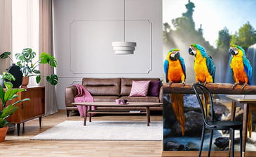 Visualisation du produit