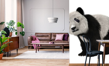 Visualisation du produit