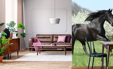 Visualisation du produit