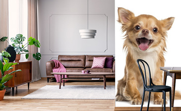 Visualisation du produit