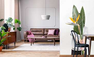 Visualisation du produit