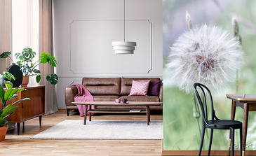 Visualisation du produit