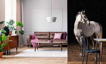 Visualisation du produit