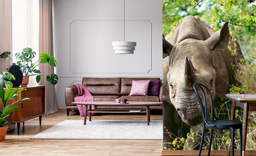 Visualisation du produit