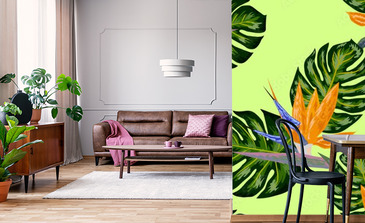 Visualisation du produit