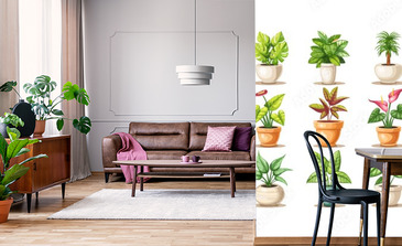 Visualisation du produit