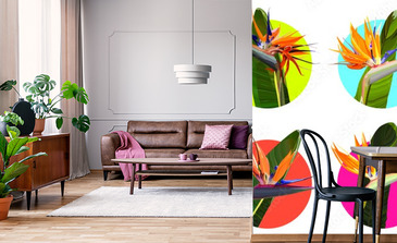 Visualisation du produit