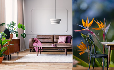 Visualisation du produit