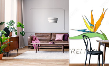 Visualisation du produit