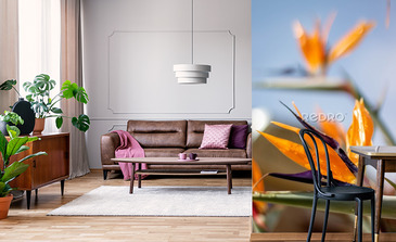 Visualisation du produit