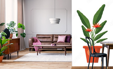 Visualisation du produit