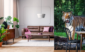 Visualisation du produit