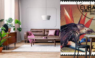 Visualisation du produit