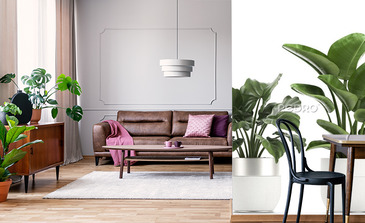 Visualisation du produit