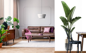 Visualisation du produit