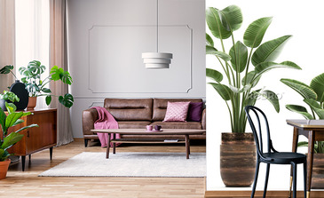 Visualisation du produit