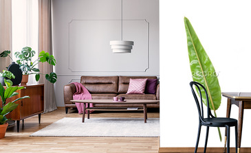 Visualisation du produit