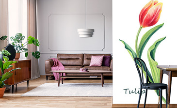 Visualisation du produit