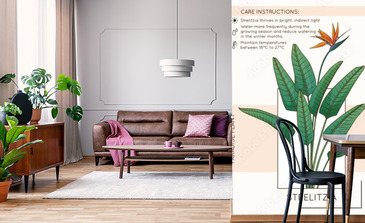 Visualisation du produit