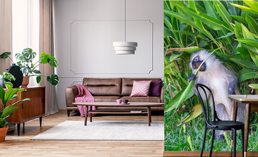 Visualisation du produit