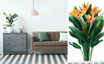 Visualisation du produit