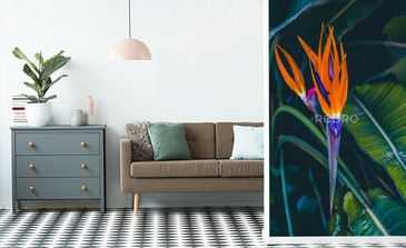 Visualisation du produit