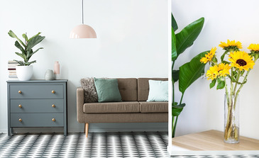 Visualisation du produit