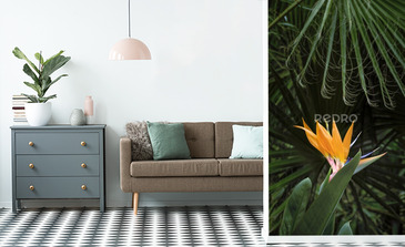 Visualisation du produit