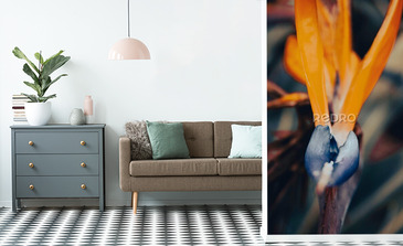 Visualisation du produit