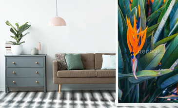 Visualisation du produit