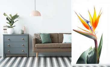 Visualisation du produit