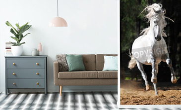 Visualisation du produit