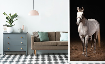 Visualisation du produit