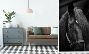 Visualisation du produit